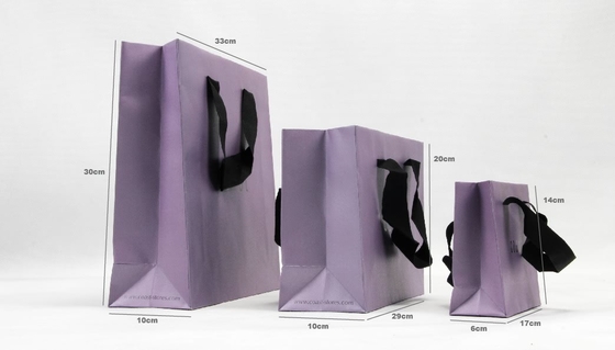 Professional Personalized Paper Bags Iridescent Paper Garment Shopping Bags Set