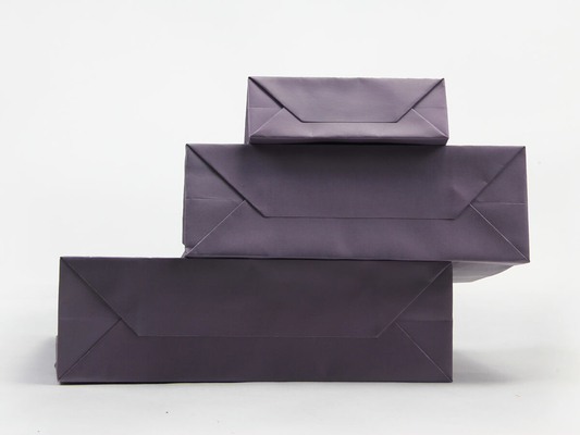 Professional Personalized Paper Bags Iridescent Paper Garment Shopping Bags Set