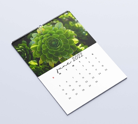 Matte Lamination Desk Calendar Printing 600-1000gsm Monthly Wall Calendars