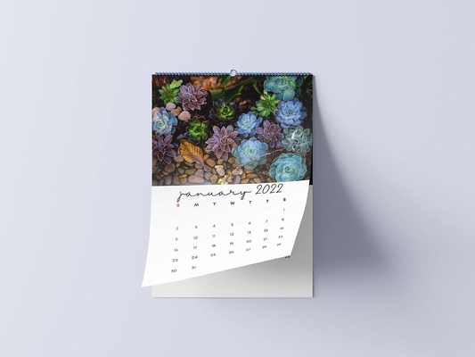 Matte Lamination Desk Calendar Printing 600-1000gsm Monthly Wall Calendars