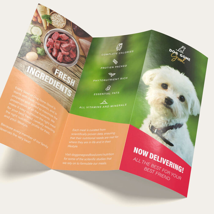 ISO9001 Flyer Design And Print Custom Color Professional Flyer Printing